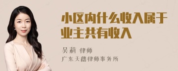 小区内什么收入属于业主共有收入