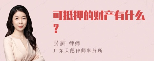 可抵押的财产有什么？