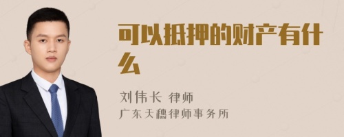 可以抵押的财产有什么