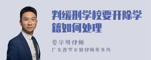 判缓刑学校要开除学籍如何处理