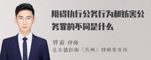 阻碍执行公务行为和妨害公务罪的不同是什么