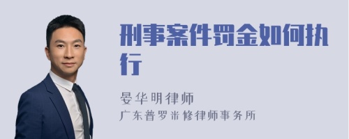 刑事案件罚金如何执行