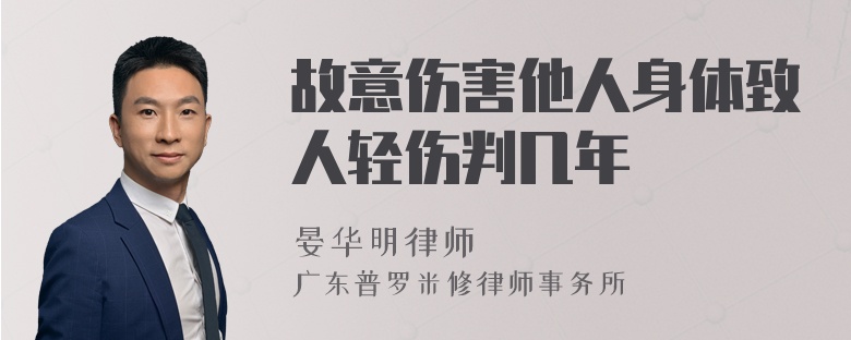 故意伤害他人身体致人轻伤判几年