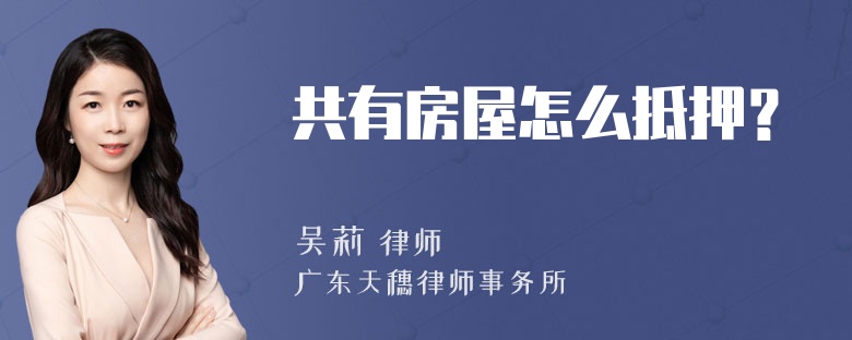 共有房屋怎么抵押？