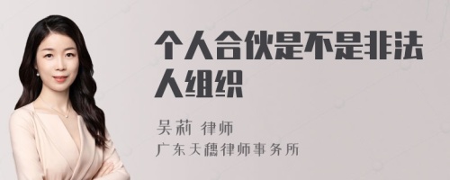 个人合伙是不是非法人组织