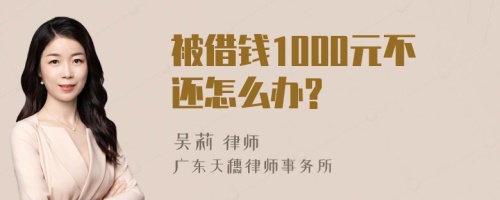 被借钱1000元不还怎么办?