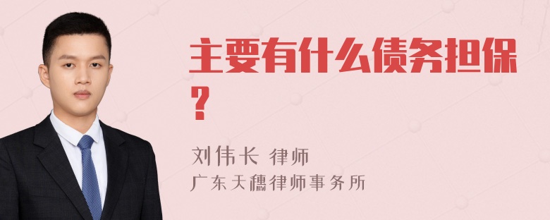 主要有什么债务担保？