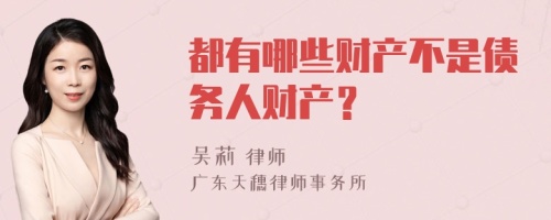 都有哪些财产不是债务人财产？