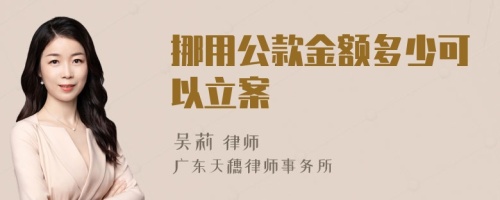 挪用公款金额多少可以立案