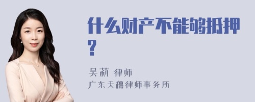 什么财产不能够抵押?