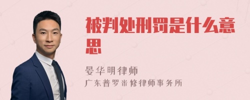 被判处刑罚是什么意思