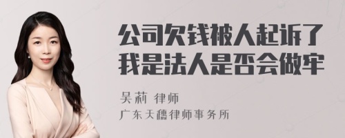 公司欠钱被人起诉了我是法人是否会做牢