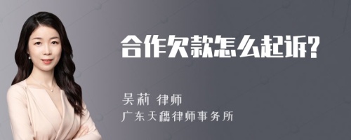 合作欠款怎么起诉?