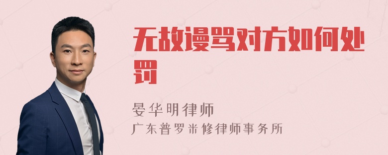 无故谩骂对方如何处罚