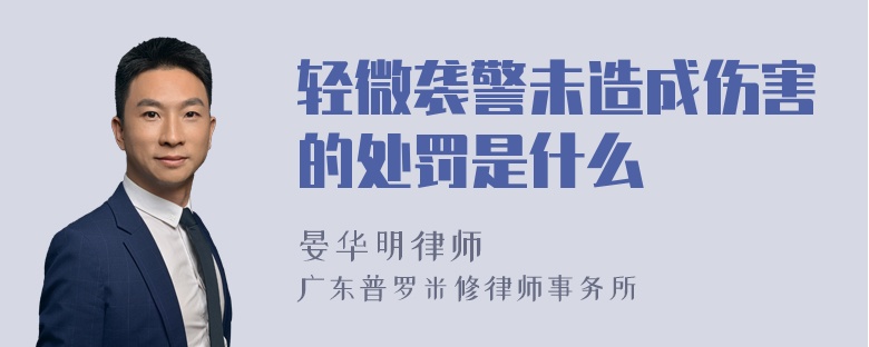 轻微袭警未造成伤害的处罚是什么