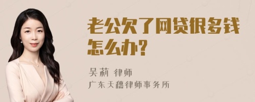 老公欠了网贷很多钱怎么办?