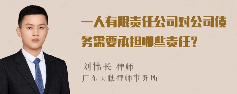 一人有限责任公司对公司债务需要承担哪些责任？