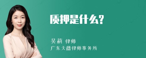 质押是什么?