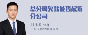 总公司欠款能否起诉分公司