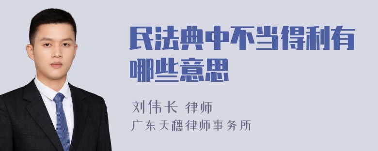 民法典中不当得利有哪些意思