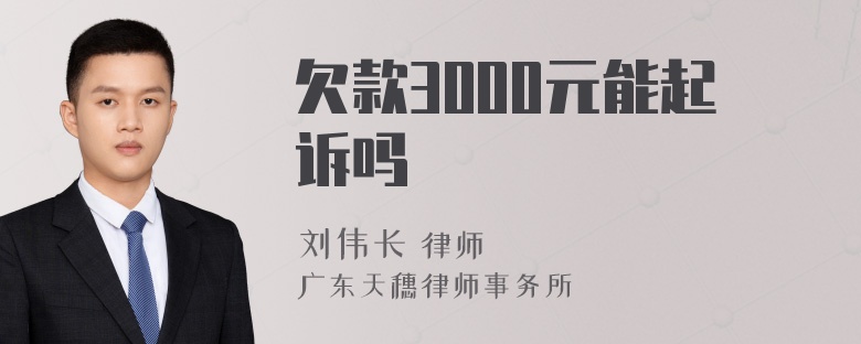 欠款3000元能起诉吗