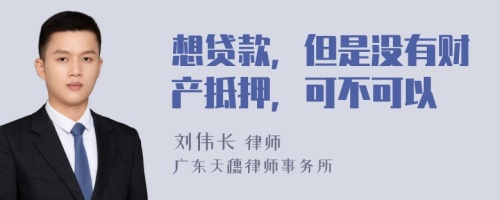 想贷款，但是没有财产抵押，可不可以