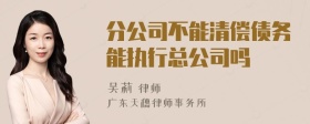 分公司不能清偿债务能执行总公司吗