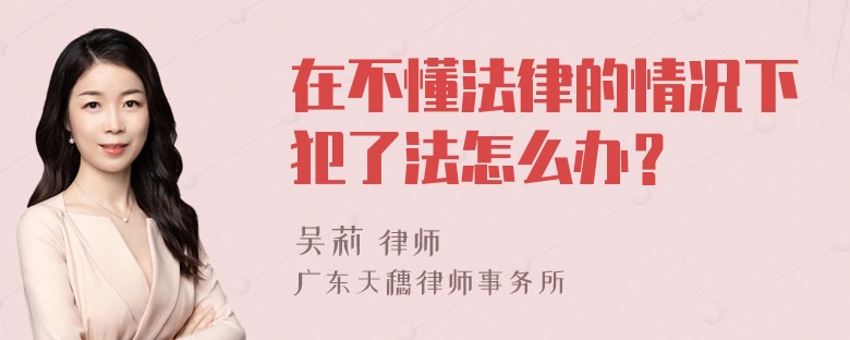 在不懂法律的情况下犯了法怎么办？