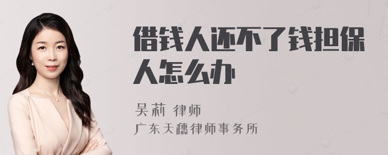 借钱人还不了钱担保人怎么办