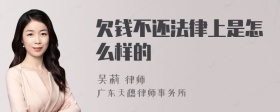 欠钱不还法律上是怎么样的