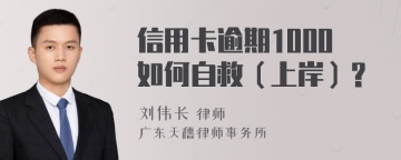 信用卡逾期1000如何自救（上岸）?