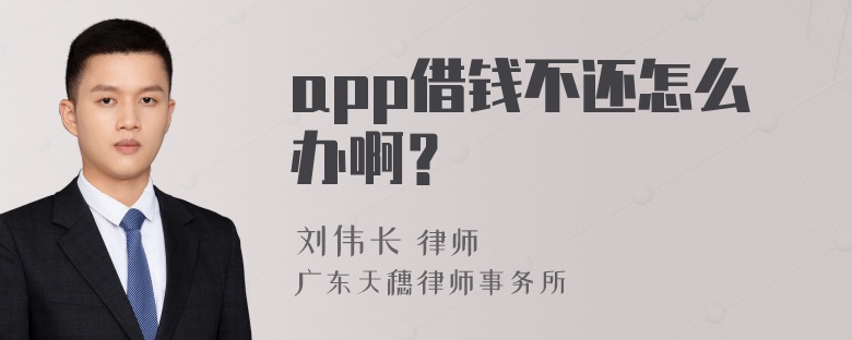 app借钱不还怎么办啊？