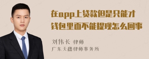 在app上贷款但是只能才钱包里面不能提现怎么回事