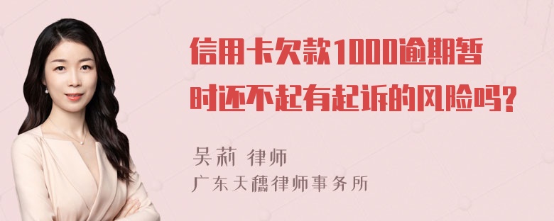 信用卡欠款1000逾期暂时还不起有起诉的风险吗?