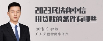 2023民法典中信用贷款的条件有哪些