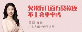 欠银行几百万贷款还不上会坐牢吗