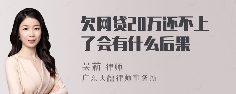 欠网贷20万还不上了会有什么后果