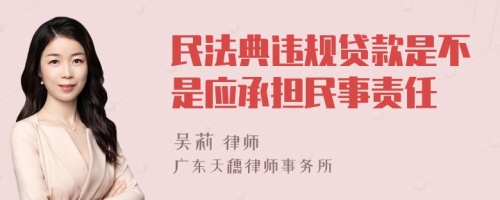 民法典违规贷款是不是应承担民事责任