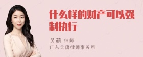 什么样的财产可以强制执行