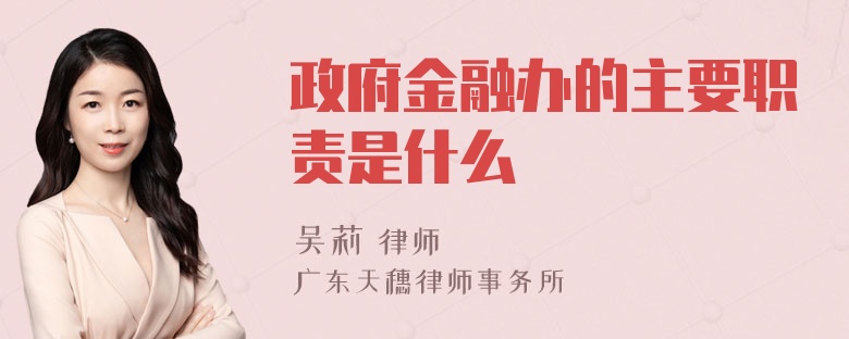 政府金融办的主要职责是什么