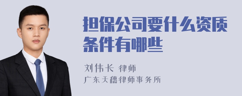 担保公司要什么资质条件有哪些