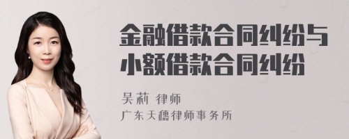 金融借款合同纠纷与小额借款合同纠纷