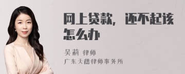 网上贷款，还不起该怎么办