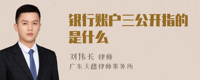 银行账户三公开指的是什么