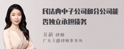 民法典中子公司和分公司能否独立承担债务