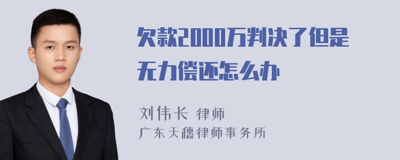 欠款2000万判决了但是无力偿还怎么办