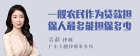 一般农民作为贷款担保人最多能担保多少