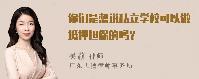 你们是想说私立学校可以做抵押担保的吗？