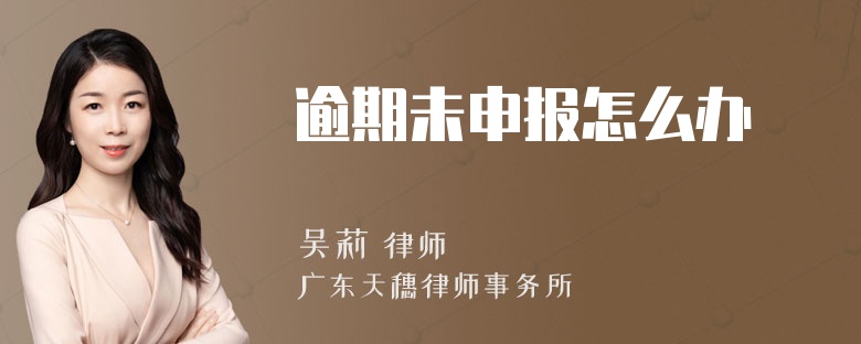 逾期未申报怎么办