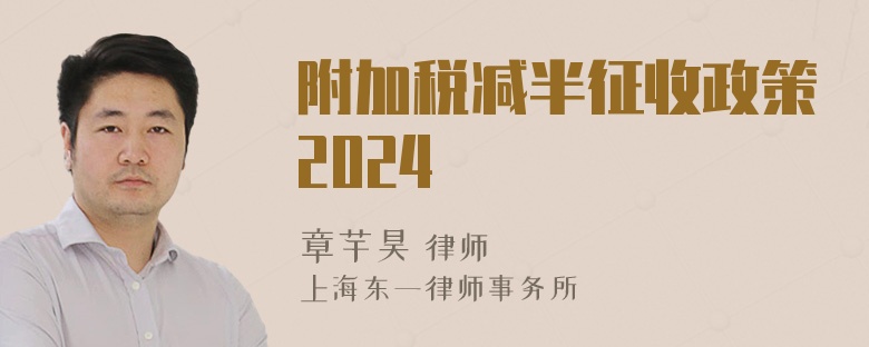 附加税减半征收政策2024